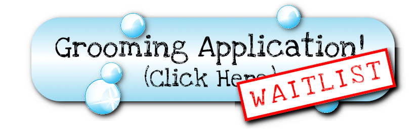 Shear Magic Dog Spa & Resort - Fill Out An Application Today!